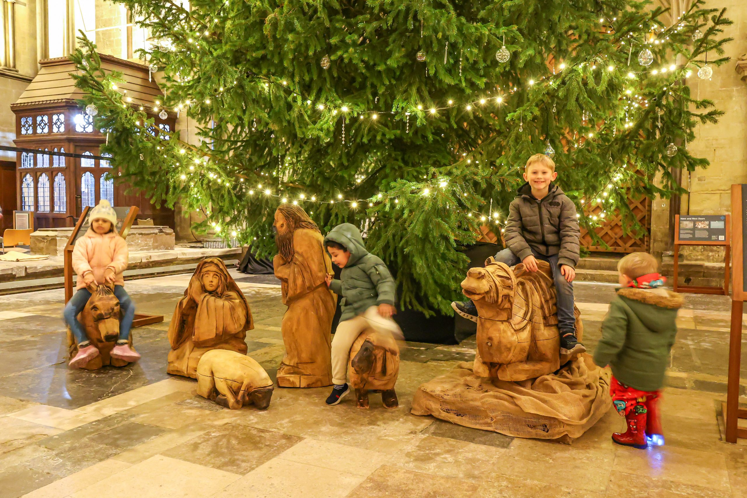 boy sits on donkey as part of nativity scene in front of Christmas tree